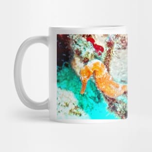 Orange Caribbean Sea Horse Mug